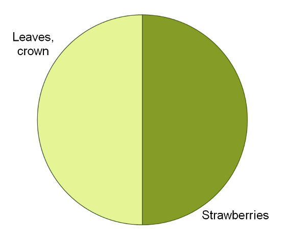 Nitrogen partitioning pie chart