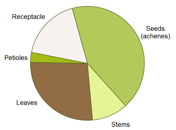 Nitrogen partitioning pie chart