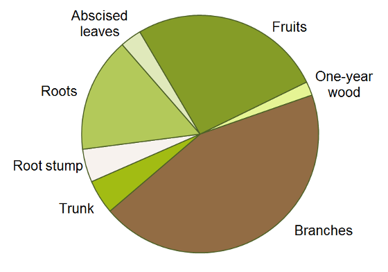 Nitrogen partitioning pie chart