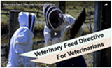Veterinary Feed Directive for Veterinarians link to page with video