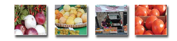 Red and White Onions, Pumpkins, Market Stand, Tomatoes