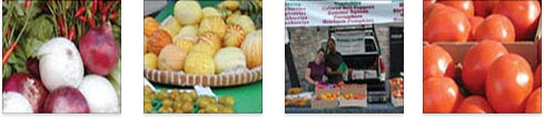 Montage: Red and White Onions, Pumpkins, Market Stand, Tomatoes