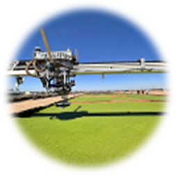 Irrigation