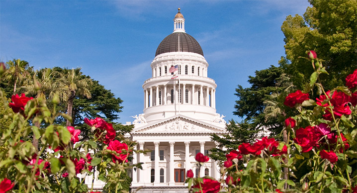 California Capitol building with red flowers