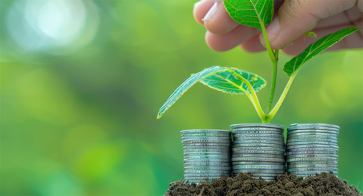 a hand tending to a plant surrounded by silver coins