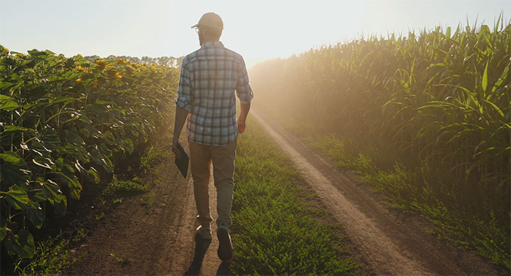 a worker in a field