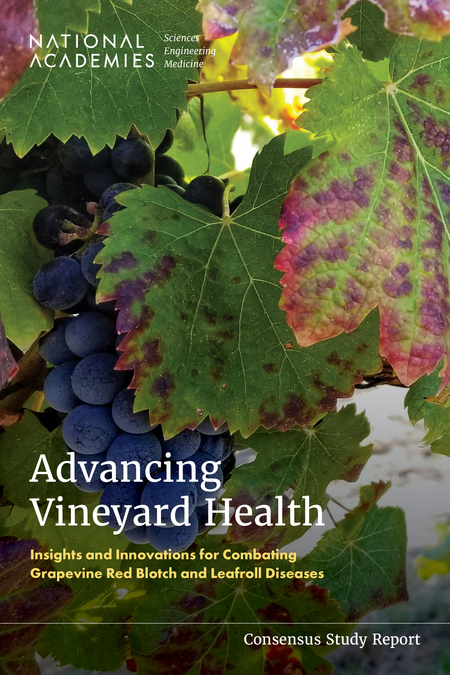 Advancing Vineyard Health Report cover