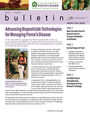 Issue 3 cover of Newsletter