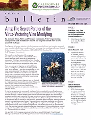 Pierce's Disease Control Program Quarterly Newsletter