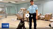 Bear and Vanessa Ochoa pose in a training area at the Orange County Agricultural Commissioner's office in Orange.