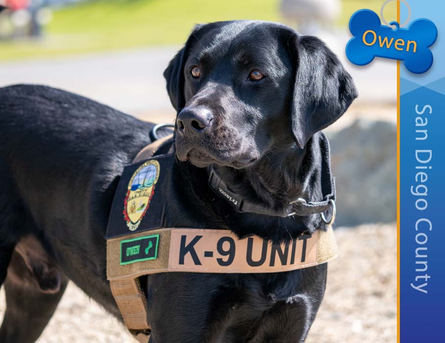 Detector Dog owen, San Joaquin County