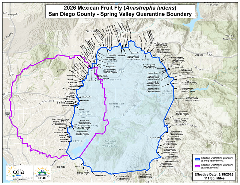 Mexican Fruit Fly Quarantine San Diego Counties Overview Mexican Fruit Fly Quarantine Spring Valley - San Diego Counties Overview