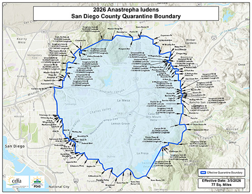Mexican Fruit Fly Quarantine San Diego Counties Overview