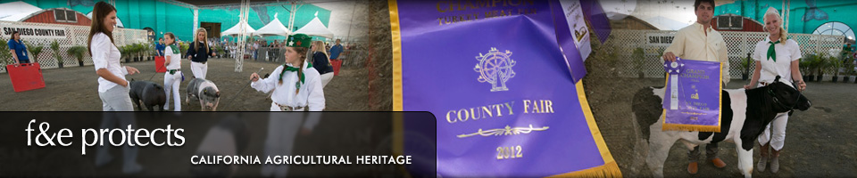 Fairs & Expositions protects California Agricultural Heritage - 2012 County Fair Ribbon