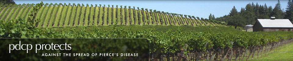 Banner 4: PDCP protects against the spread of Pierce's Disease