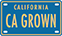 CA GROWN icon