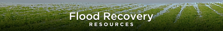 Flood Recovery Resources