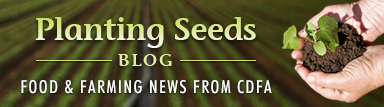 Planting Seeds: Food & farming news from CDFA